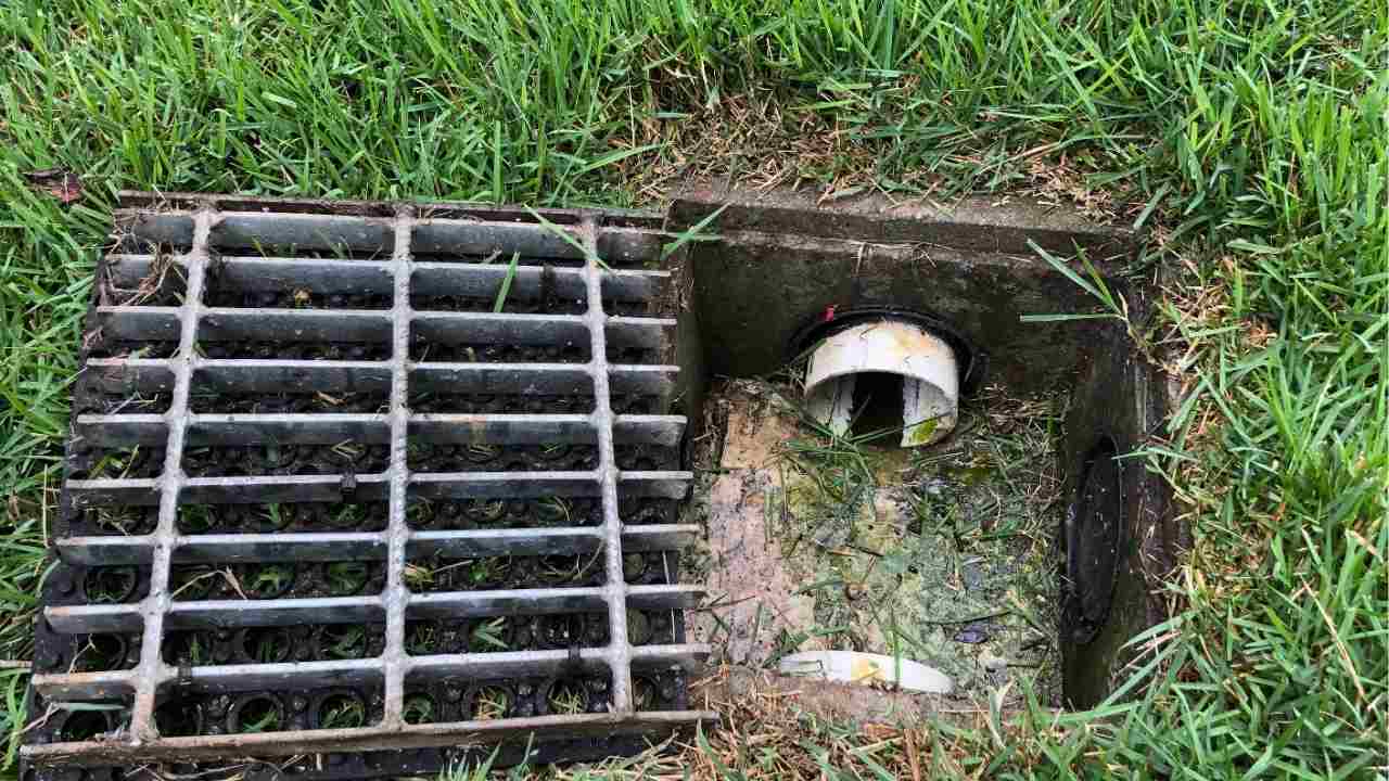 sewer line backup