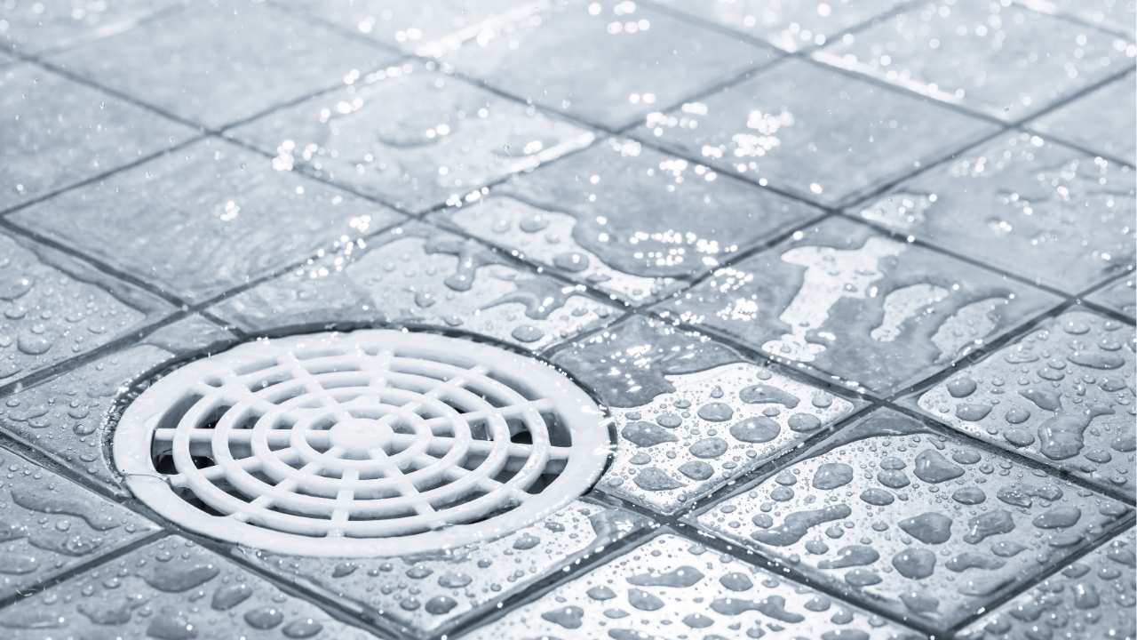 shower drain