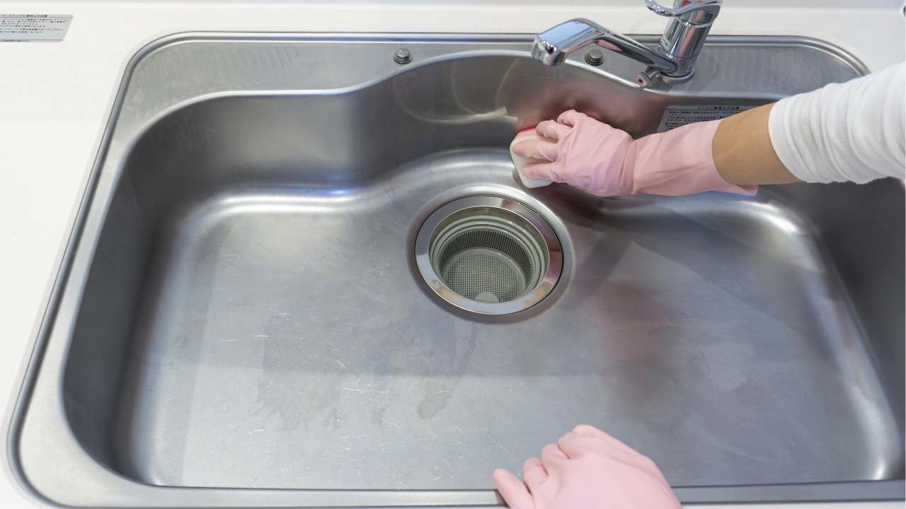 grease in drains