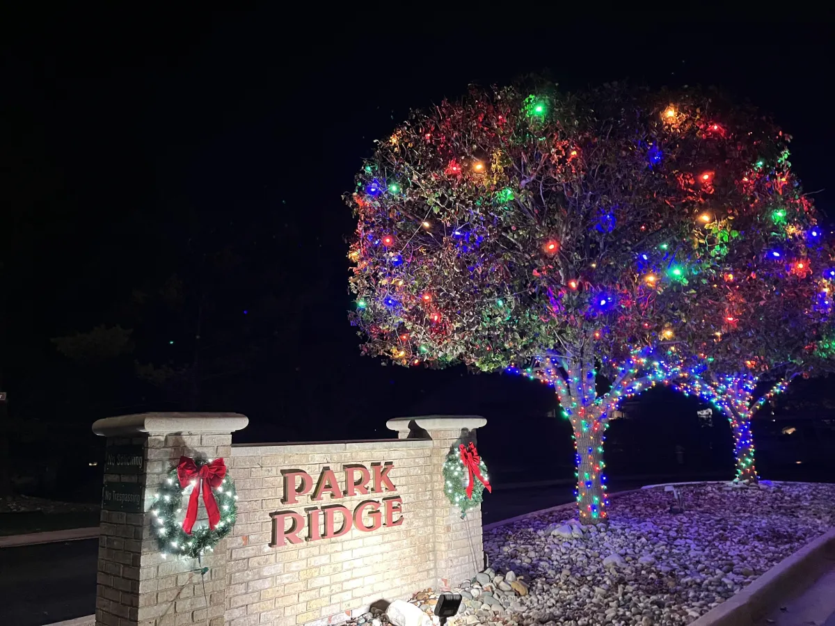 Troy, MI Commercial Christmas Lights