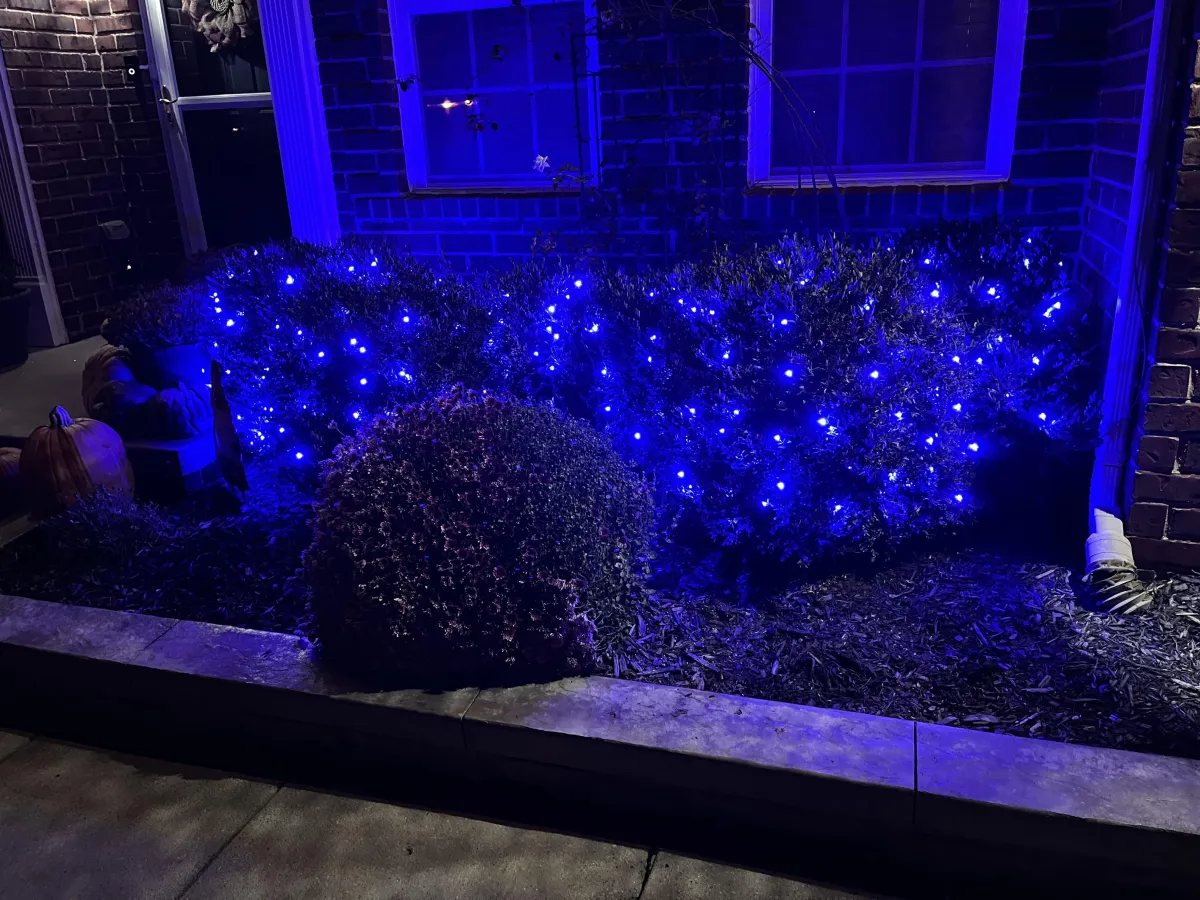 Commercial Christmas Lights in Sterling Heights, MI