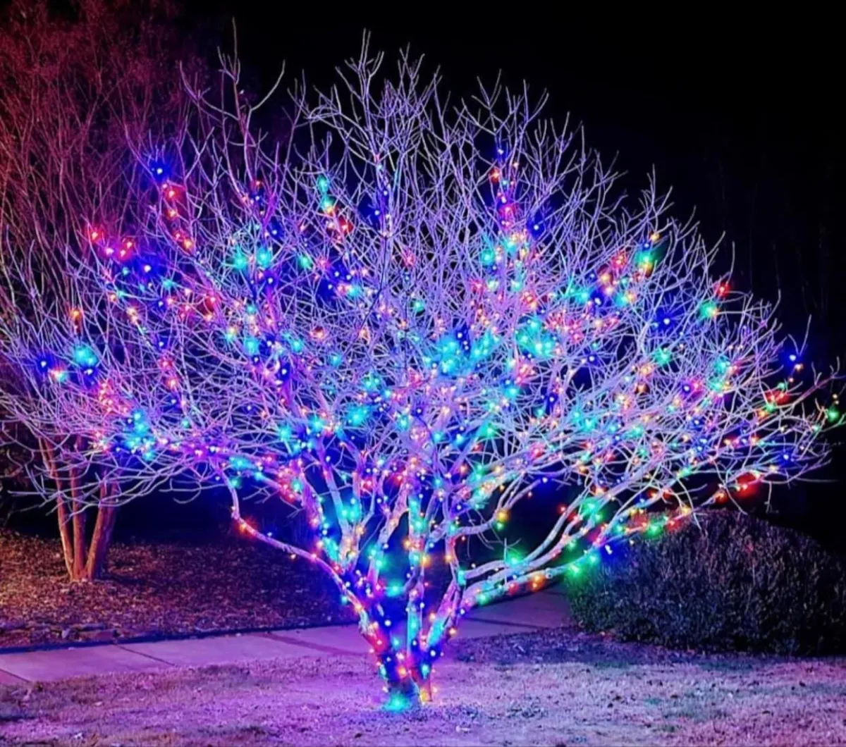 Sterling Heights, MI Commercial Christmas Lights