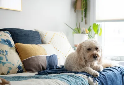 Shari Black, ICF-ACC certified executive function consultant and ADHD coach, Ontario Canada