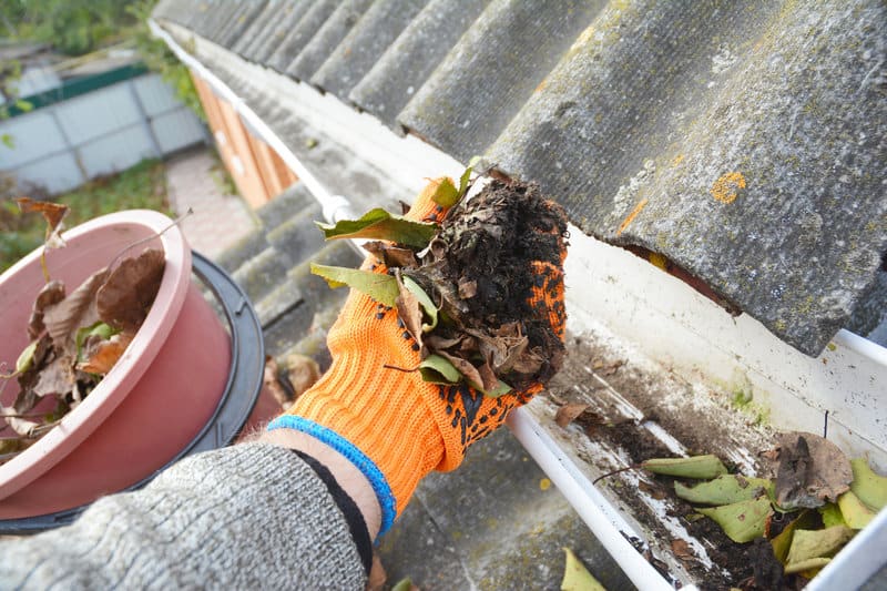 Gutter Cleaning in Cedar Park