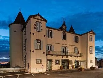 SARL MONIKOTI Unique et Féminine - Vente de produits adaptés pendant et après un cancer, prise en charge de l'alopécie - Cournon d'auvergne
