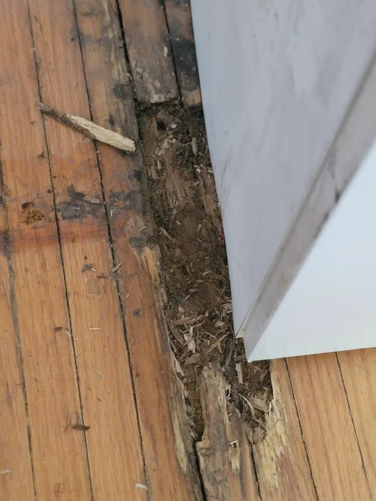 Custom Borders & Layouts in 