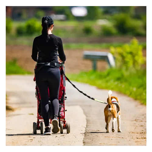 A woman pushing a stroller and walking her beagle
