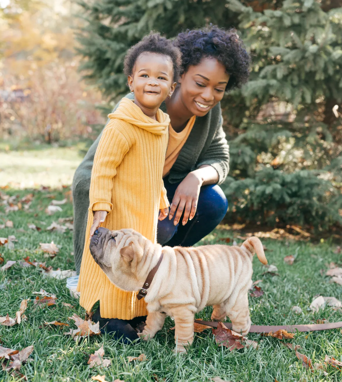 Black woman and toddler with a Shar Pei dog