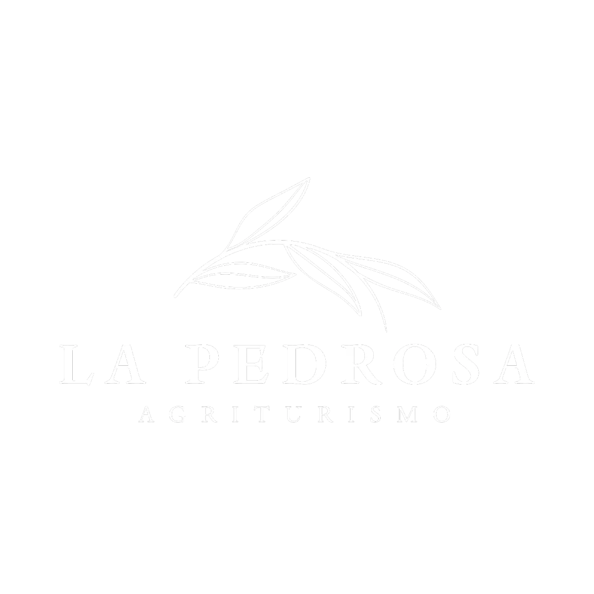 Cliente 13