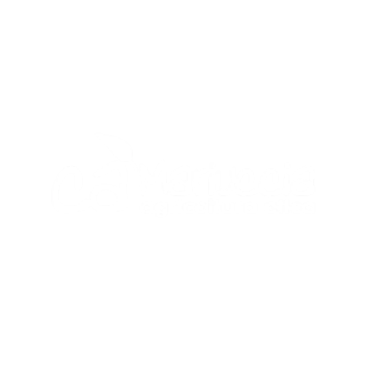 Cliente 15