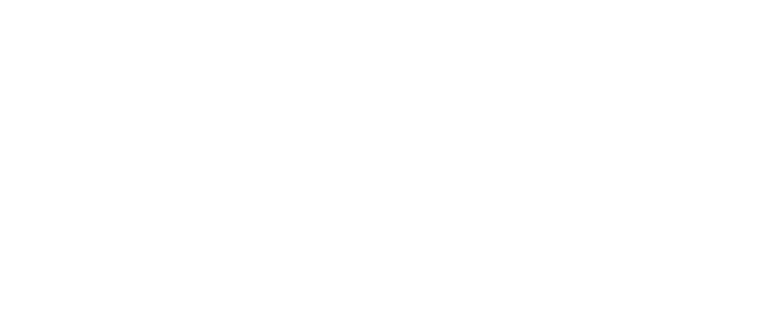 Professional Home Services