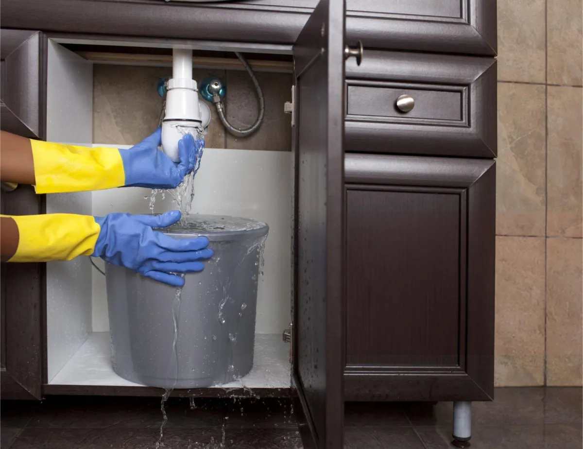 Garbage Disposal 