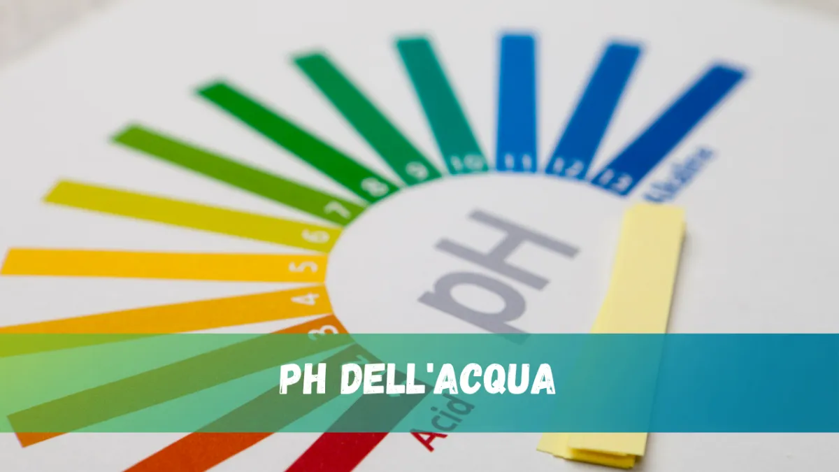pH dell'acqua: cosa indica davvero