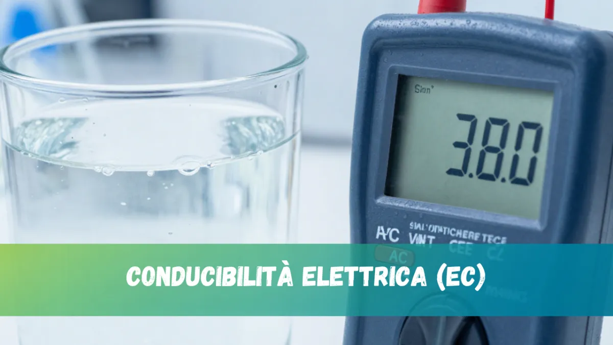 Conducibilità elettrica (EC): un indicatore chiave della qualità dell'acqua