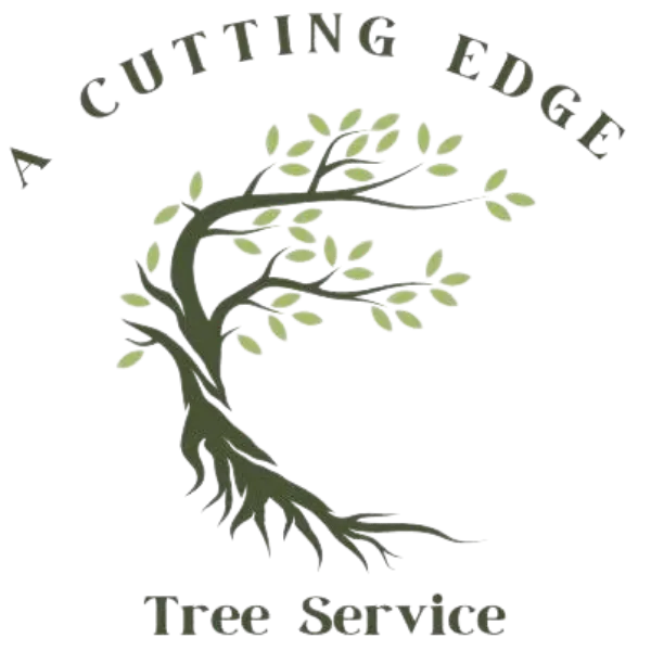 A Cutting Edge Tree Service Jackson MS