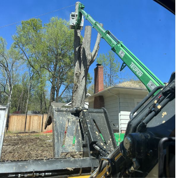 Emergency Tree Removal, Storm Debris Cleanup, A Cutting Edge Tree Service