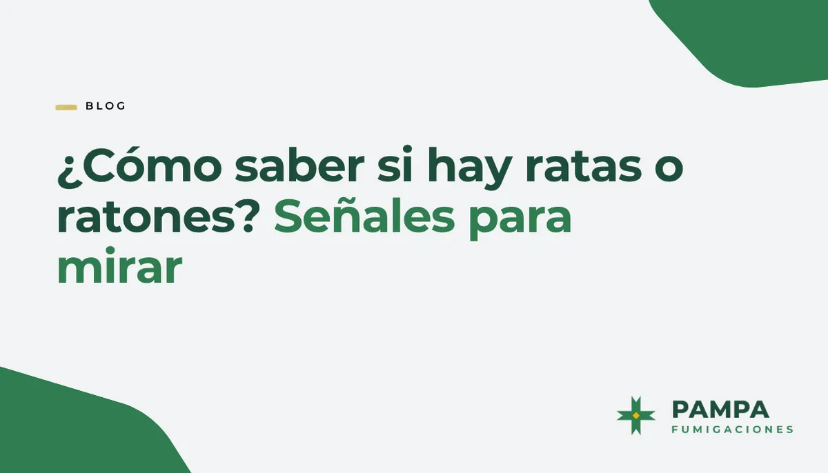 portada_blog_3