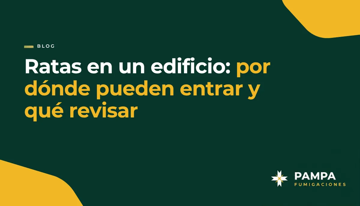 portada_blog_4
