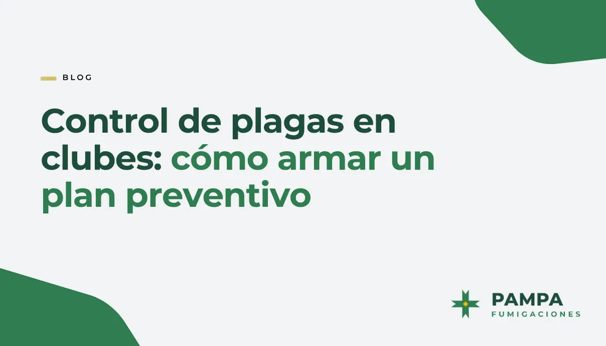 Control de plagas en clubes: cómo armar un plan preventivo | Pampa