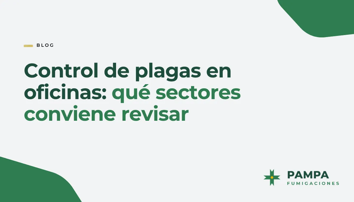 Control de plagas en oficinas: qué sectores conviene revisar | Pampa