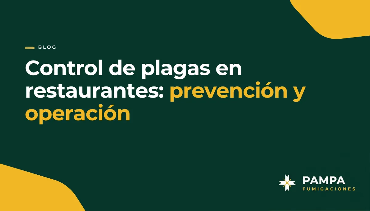 Control de plagas en restaurantes: prevención y operación | Pampa