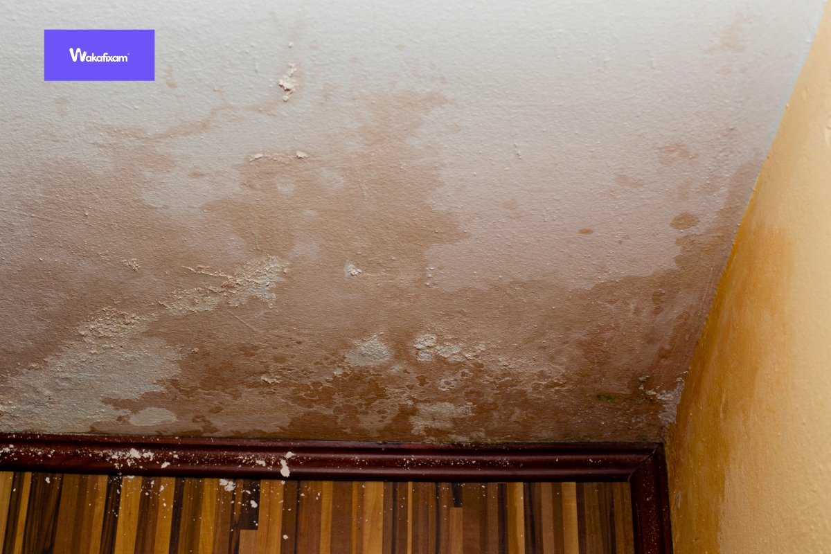 7 Signs Your House Has a Hidden Water Leak and How to Stop It