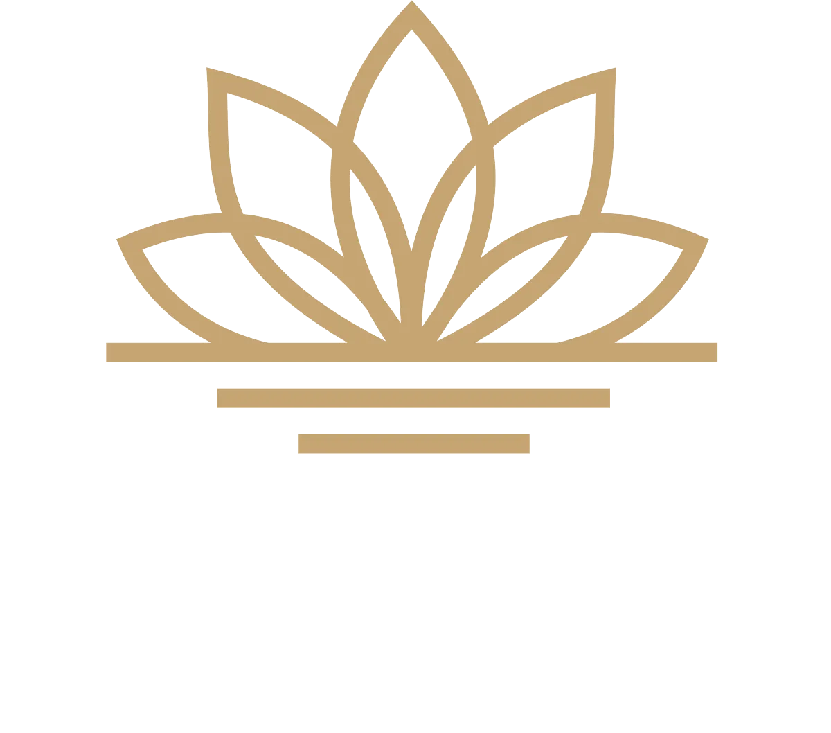 LT Clinical Consulting & Concierge Services logo