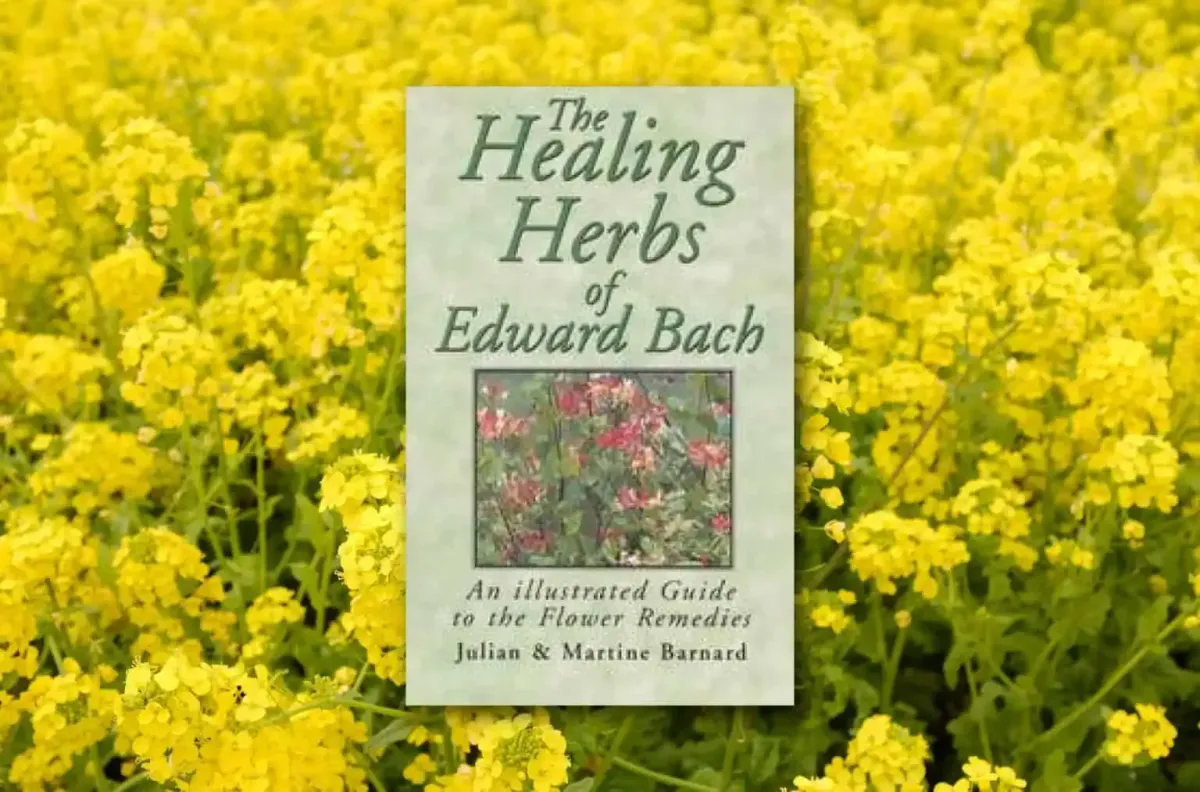 What are the Flower Essences Developed by Dr. Bach?