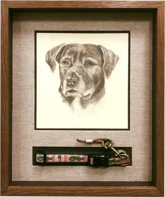 shadow box frame of a dog and leash picture framing