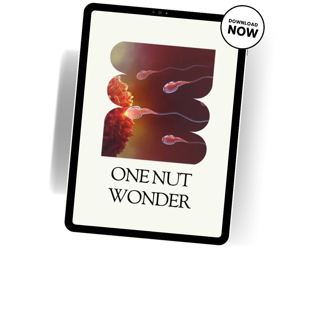 Wonder, Free Download