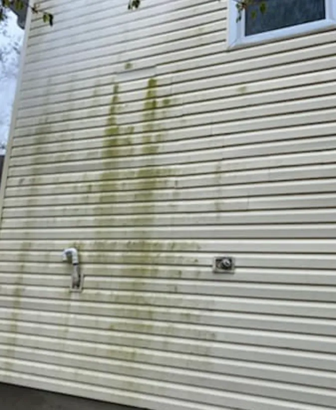 Pristine Exteriors Soft Washing