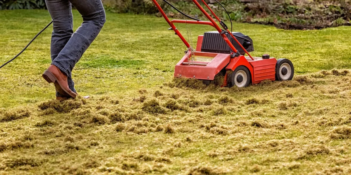 Envy Lawncare Lawn Dethatching