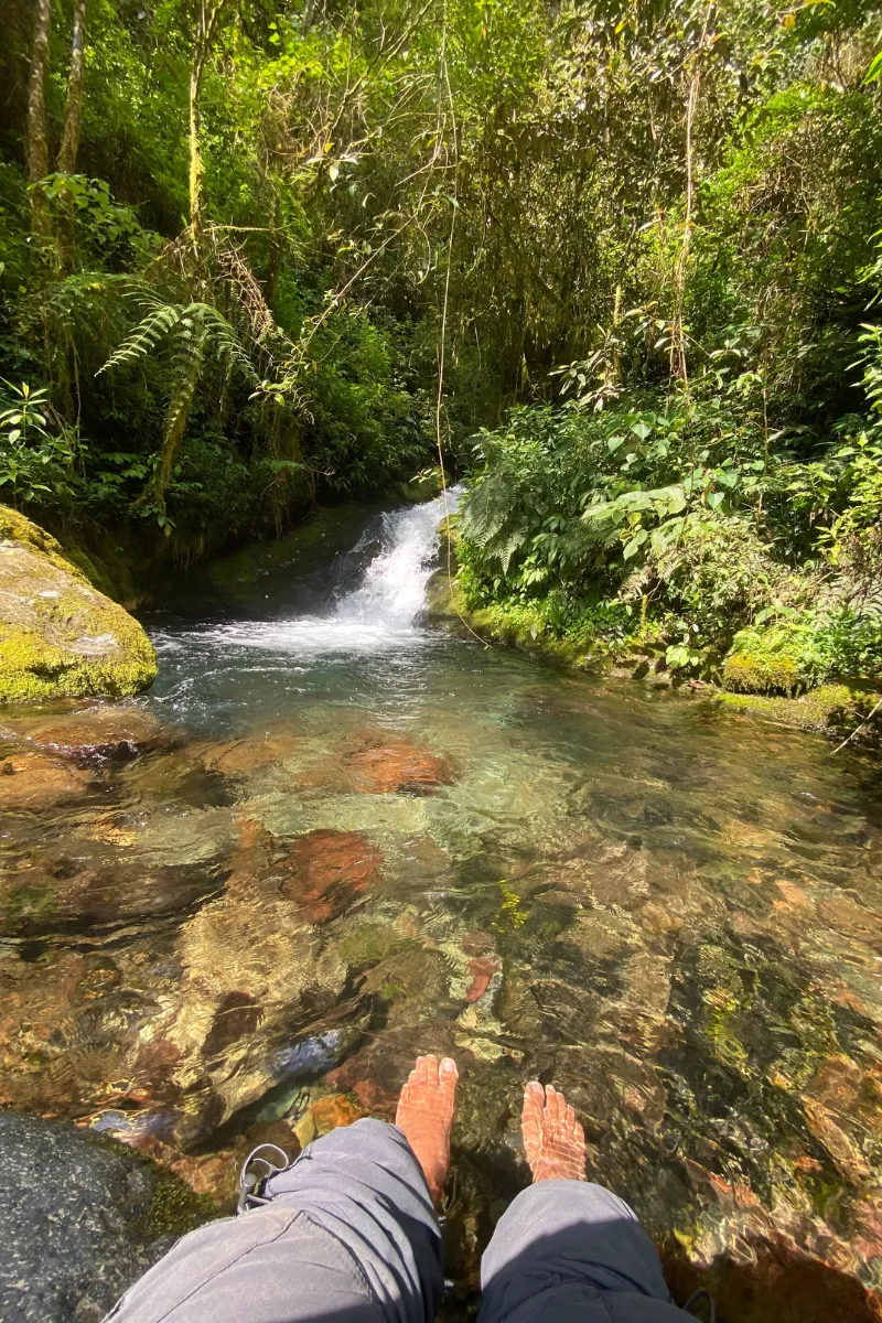 Woman embracing fresh air and feeling energized in nature