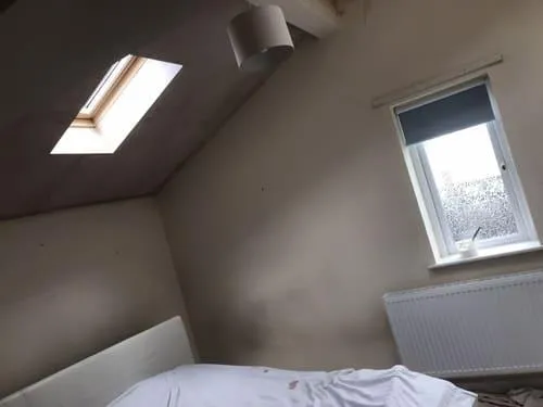 Fence Painting & Repair Wrexham