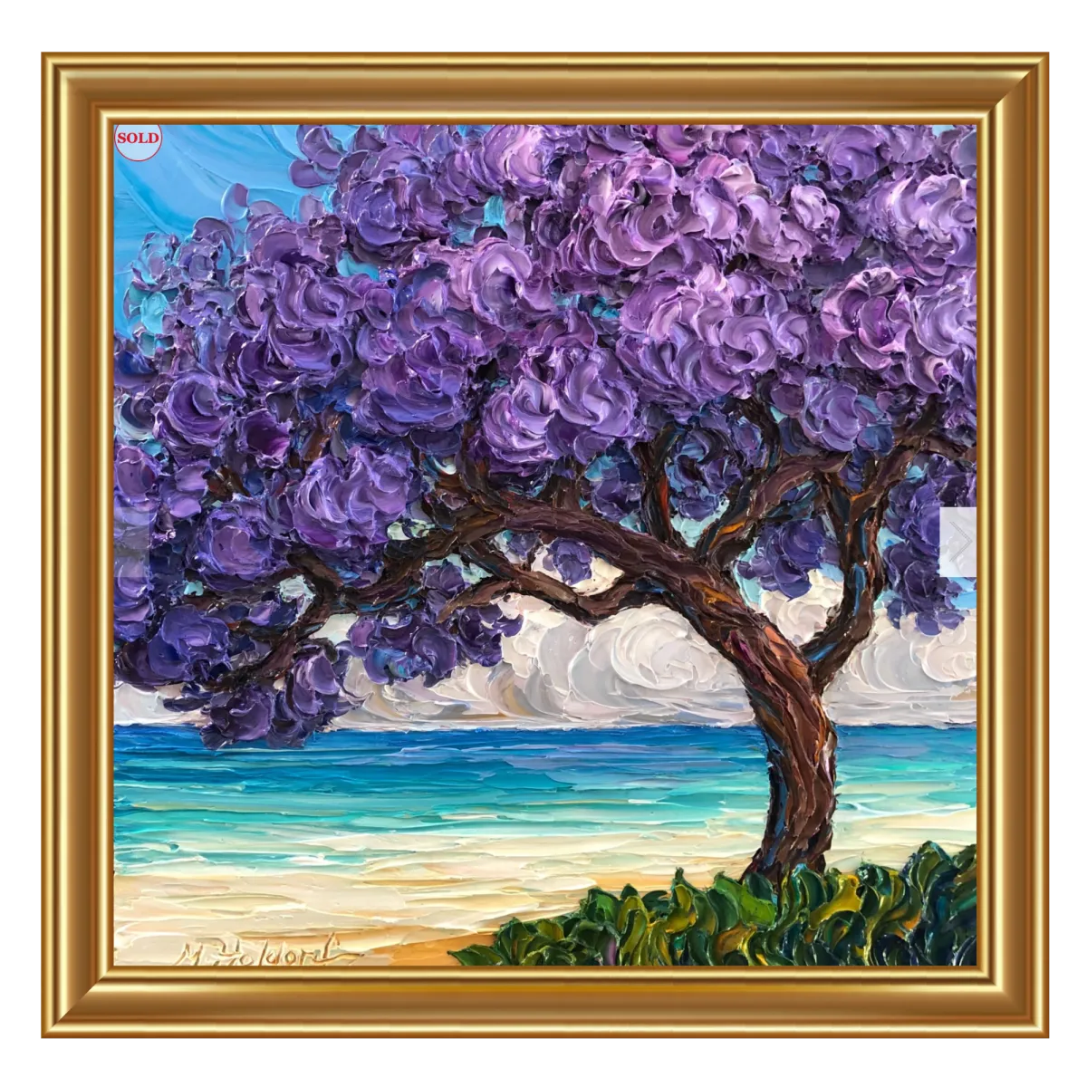 Jacaranda on the beach