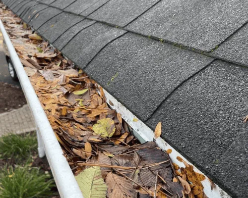 Gutter Clean Out Bella Vista, AR
