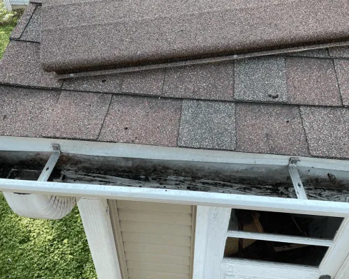 Bentonville, AR Gutter Clean Out