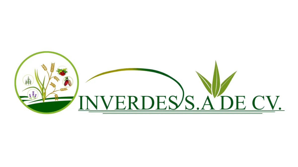 INVERDES S.A. DE C.V.