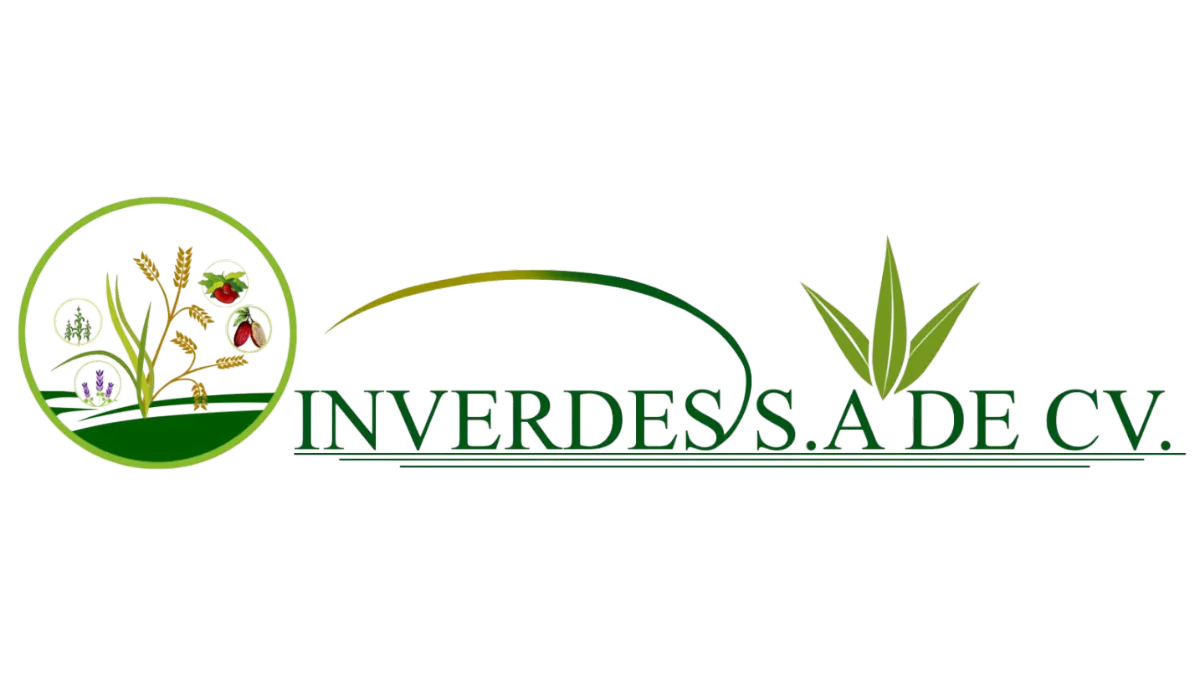 INVERDES S.A. DE C.V.