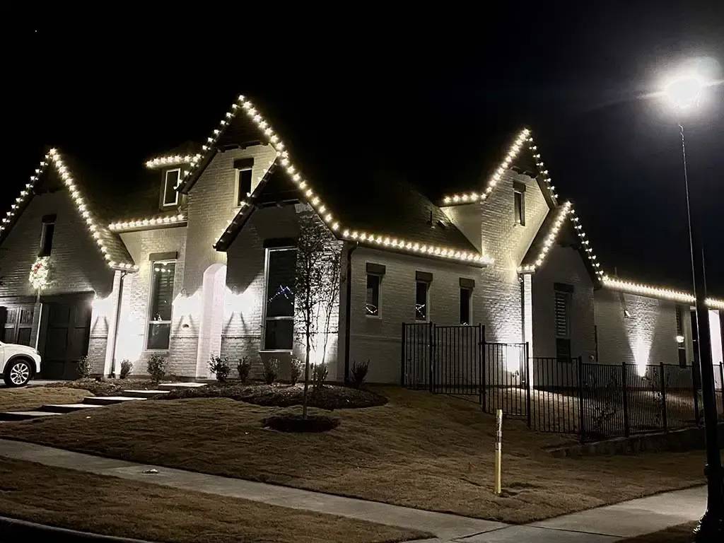 low-light photo of string light