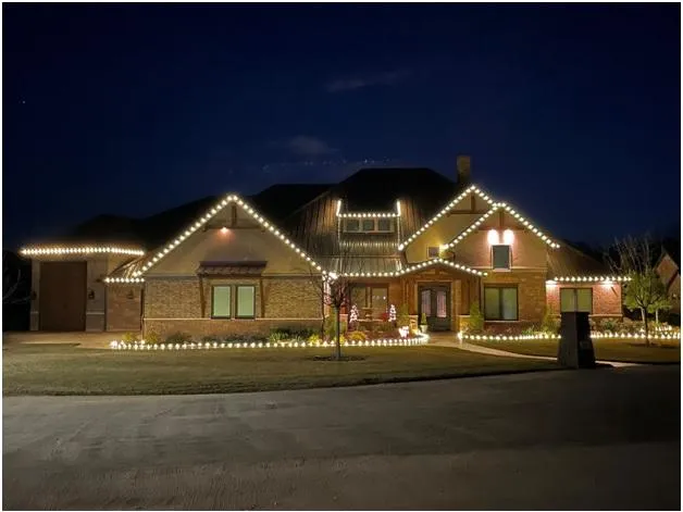 a close up of a tree