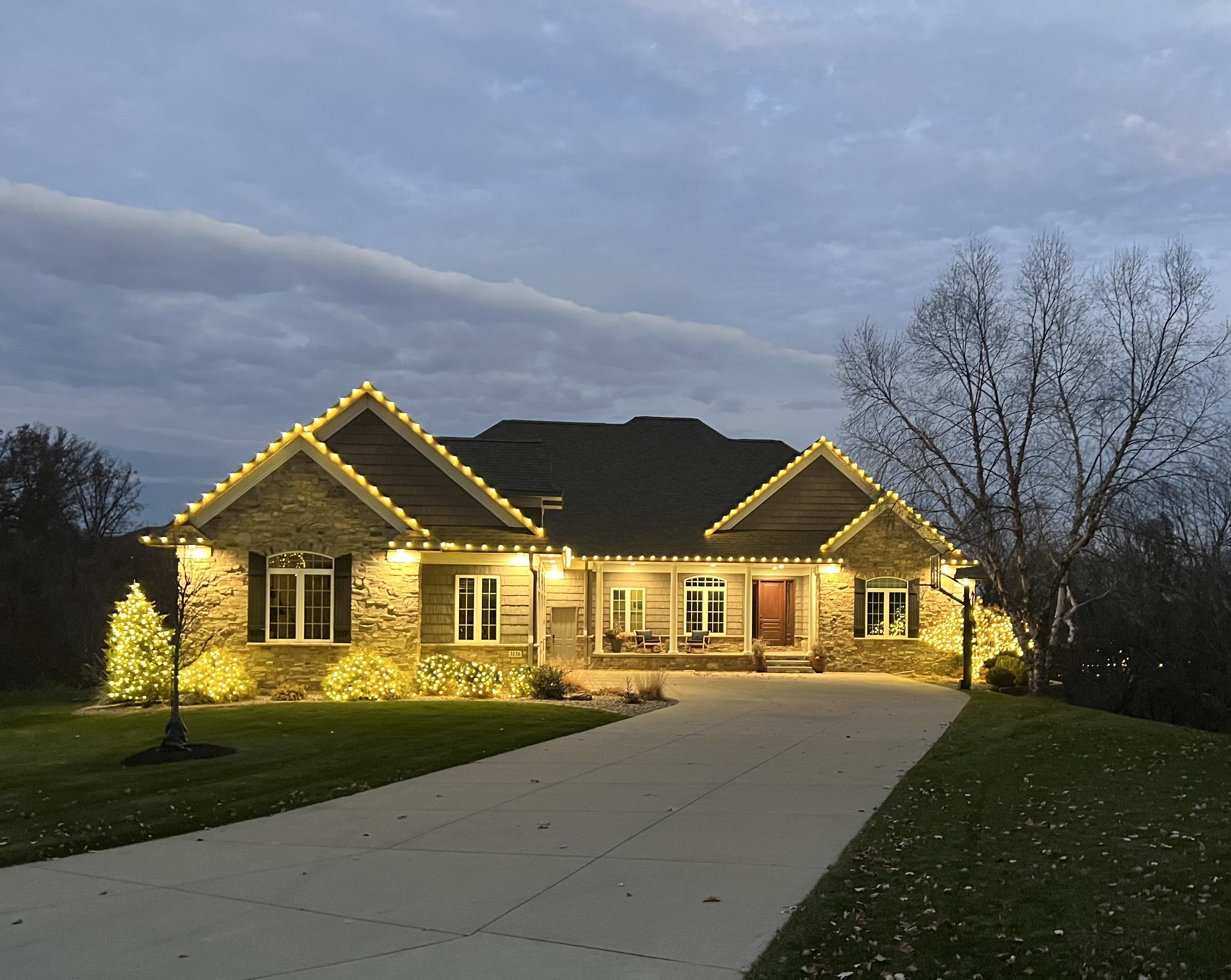 low-light photo of string light
