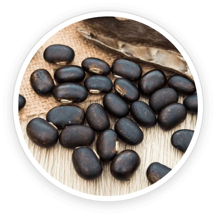 maca root