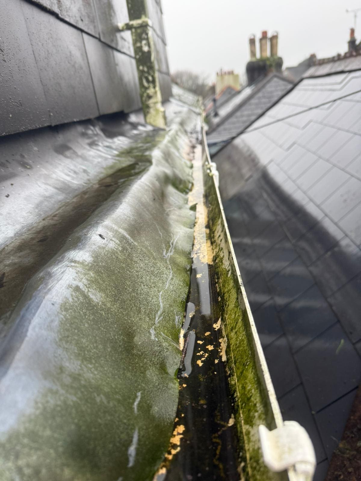 Gutter Cleaning in Plymouth