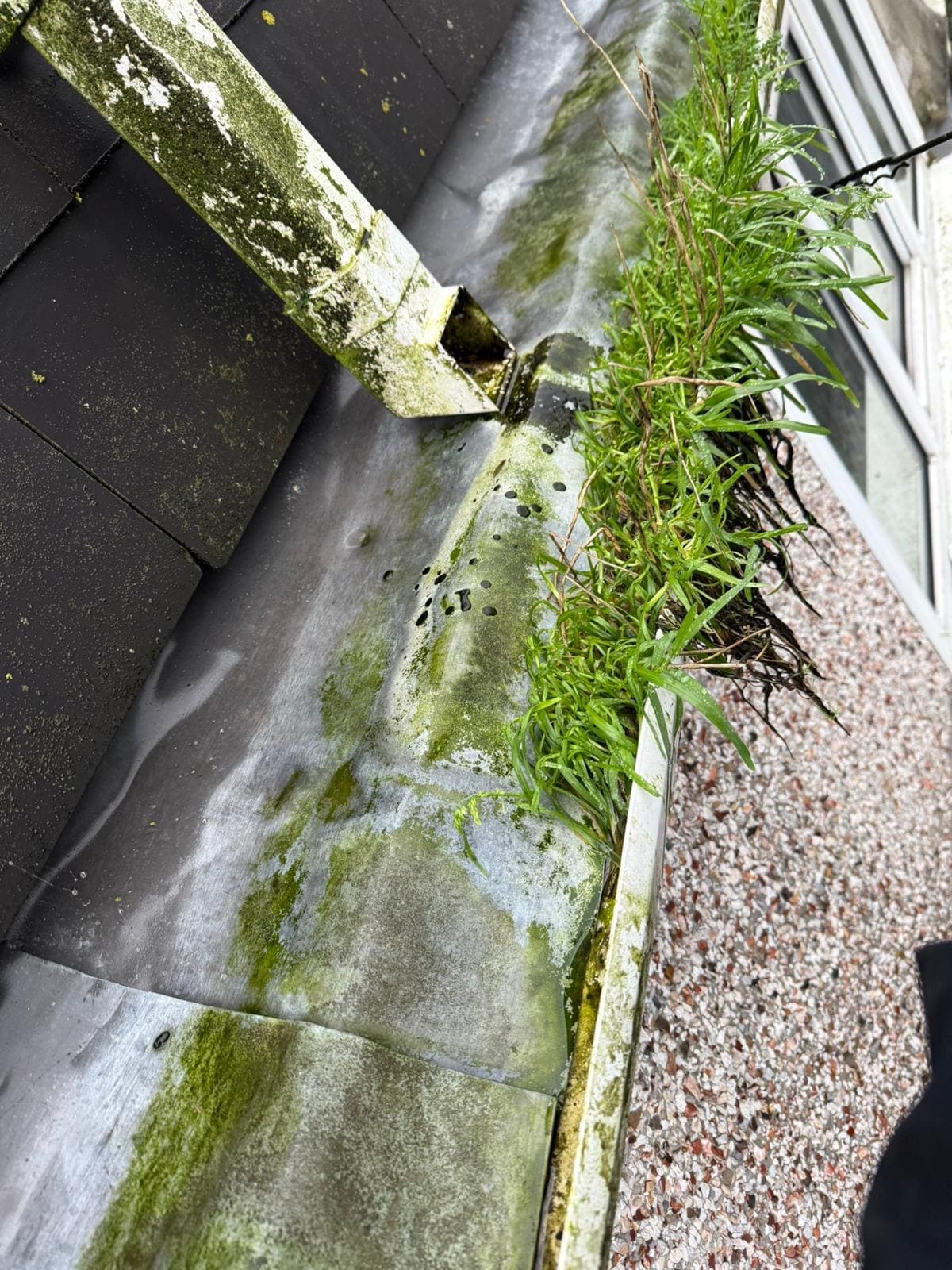 Gutter Cleaning in Exeter