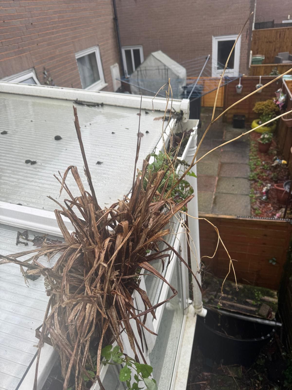 Pressure Washing in Plymouth