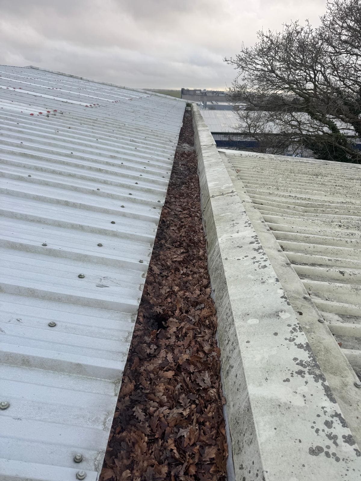 Roof Cleaning in Plymouth