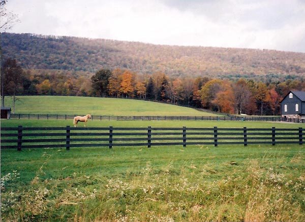 Dynasty Privacy Fence
