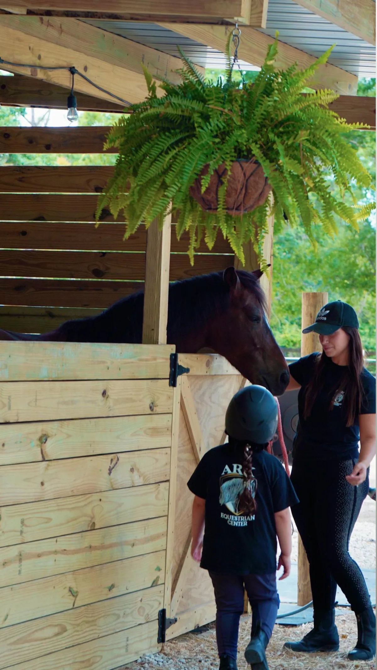 brown wooden house near green trees during daytime