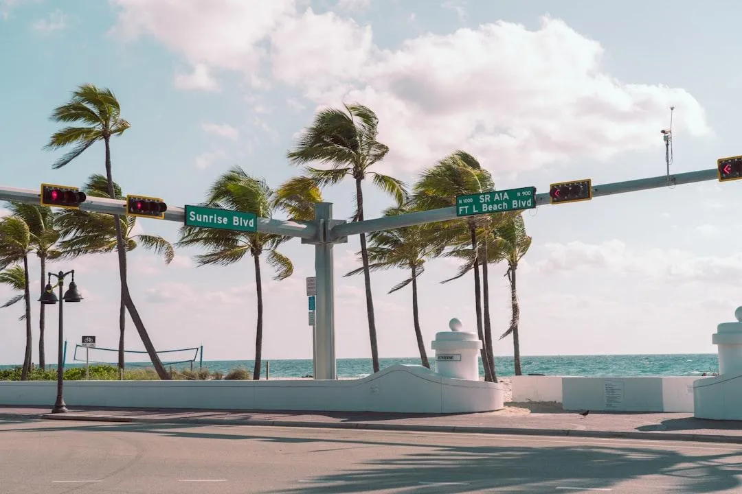 The Best Marketing Firms Fort Lauderdale Has to Offer
